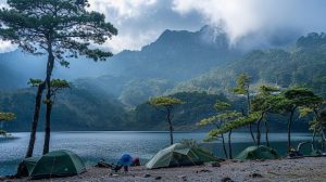Cek Harga Camping di Lembang: Temukan Spot Terbaik untuk Berkemah Cek Harga Camping di Lembang: Temukan Spot Terbaik untuk Berkemah